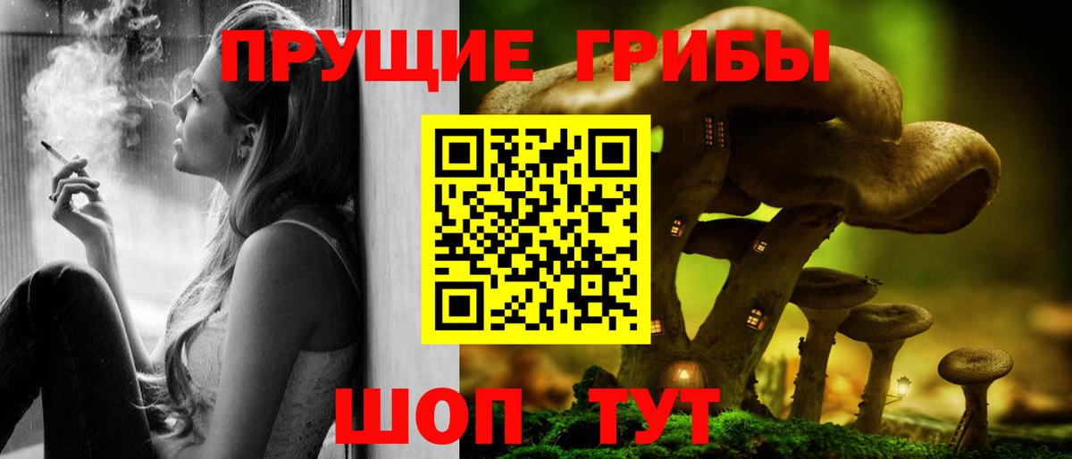 Галлюциногенные грибы Magic Shrooms  Вход с VPN  Псилоцибиновые грибы Psilocybine cubensis  Урус-Мартан 
